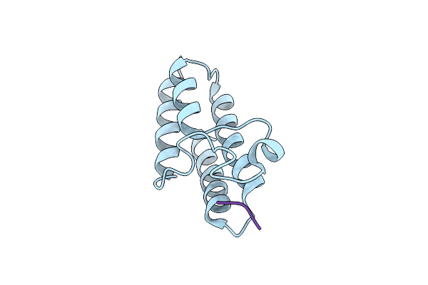 4YYG image