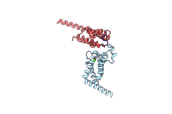 4YYM image