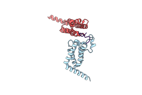 4YYN image