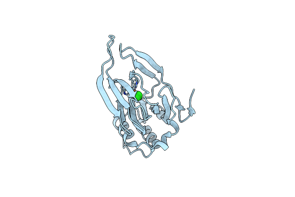 4YYO image