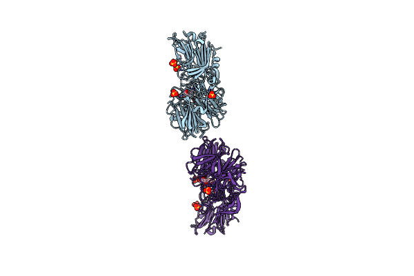 4YZ2 image