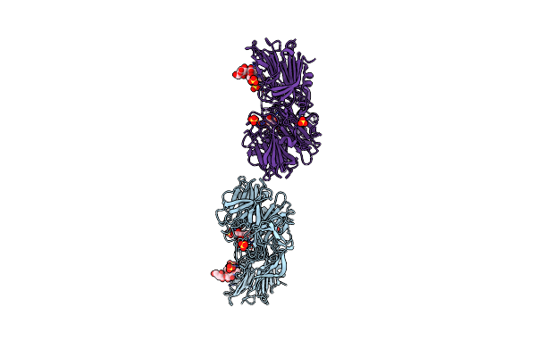 4YZ5 image