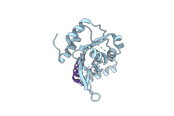 4YZ6 image