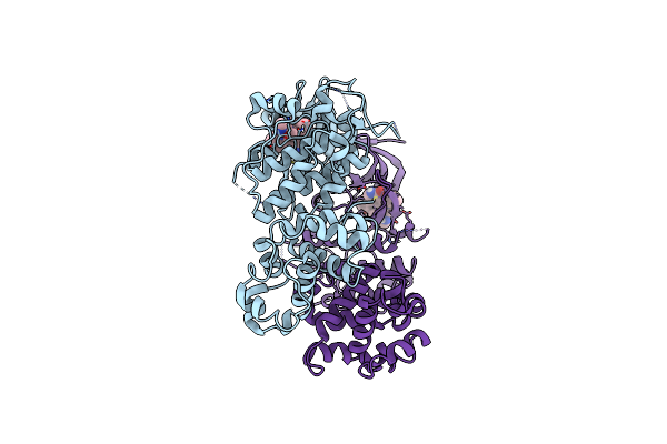 4YZC image