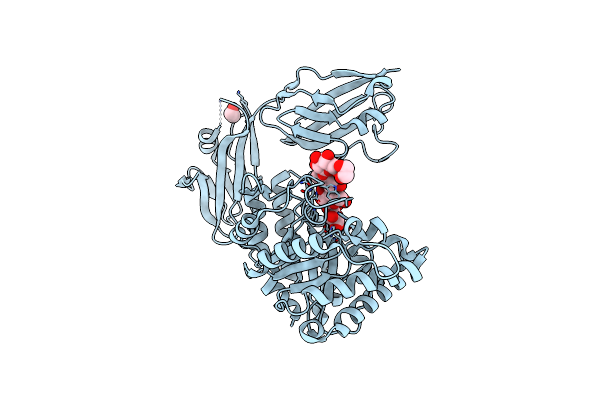 4YZT image