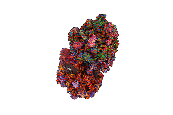 4YZV image