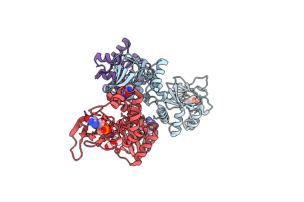 4Z07 image