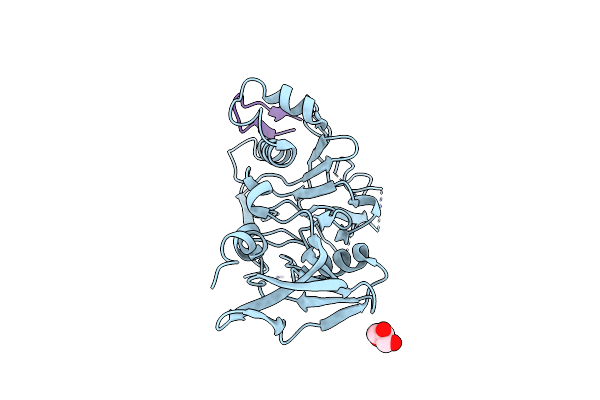 4Z09 image
