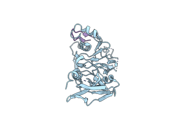 4Z0D image