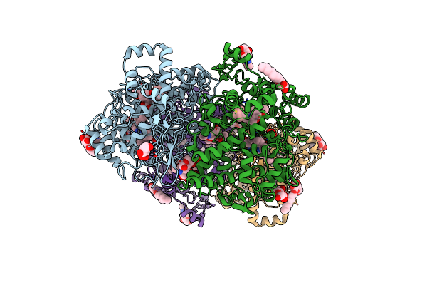 4Z0L image