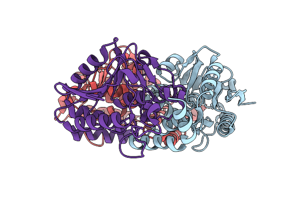 4Z0M image