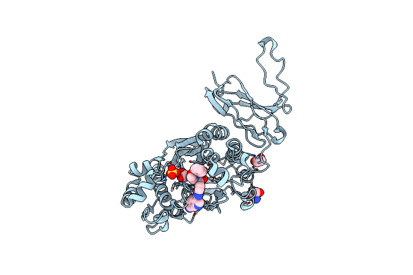 4Z2B image