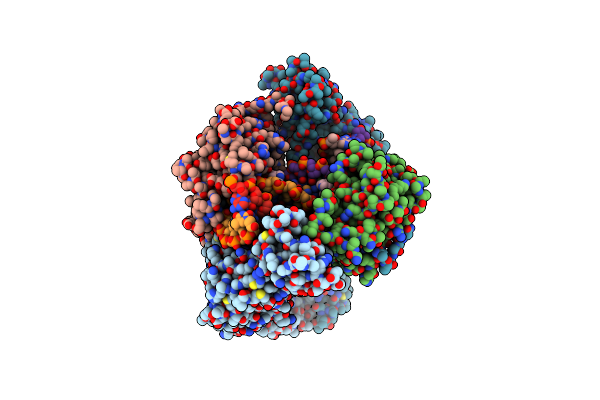4Z2C image