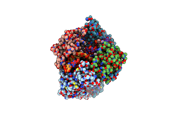 4Z2D image