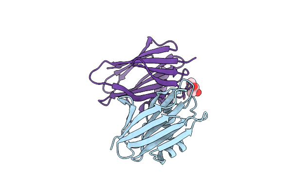 4Z2F image