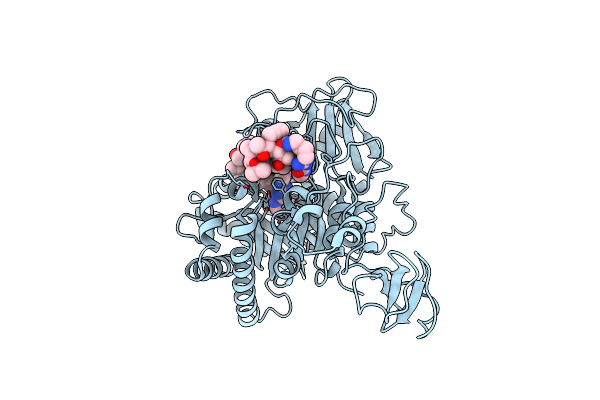 4Z2G image