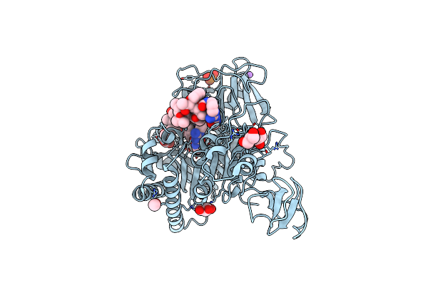 4Z2I image