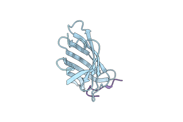 4Z2O image
