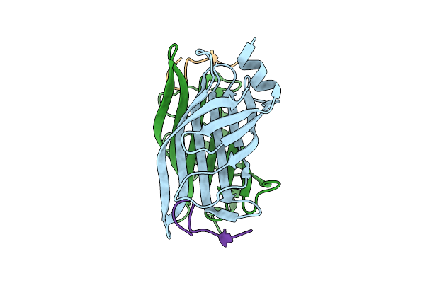 4Z2P image