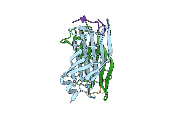 4Z2V image