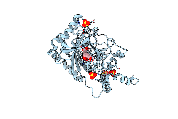 4Z2W image