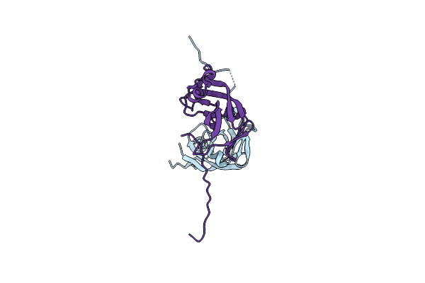 4Z2Z image