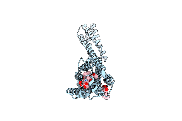 4Z35 image