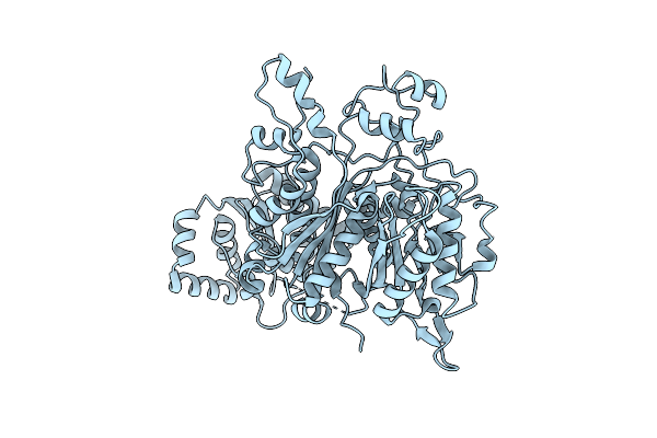 4Z37 image