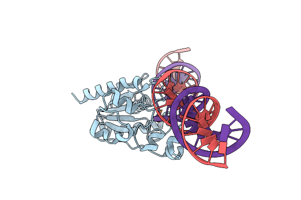 4Z3A image