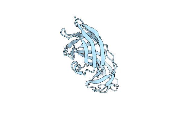 4Z3I image