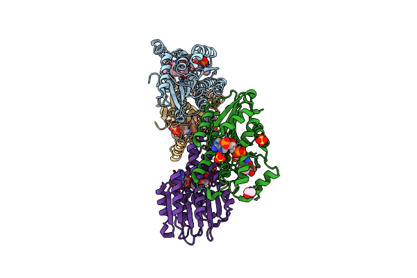 4Z3K image