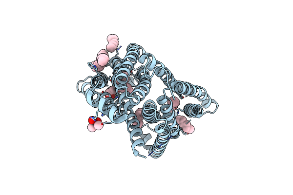 4Z3N image