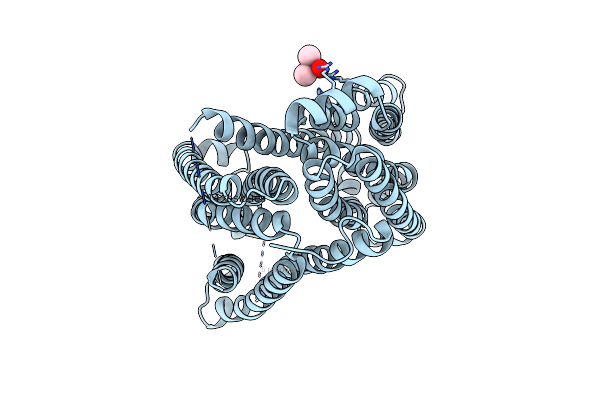 4Z3P image