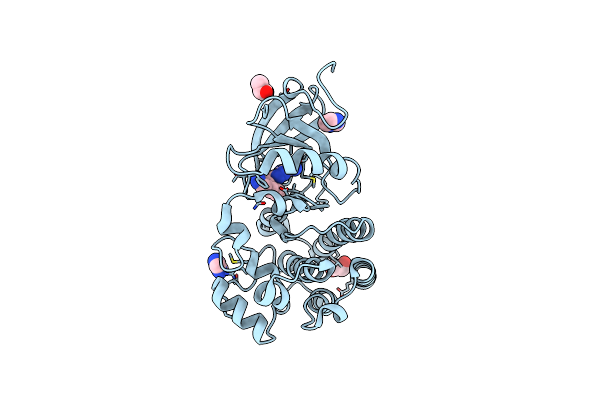 4Z3V image