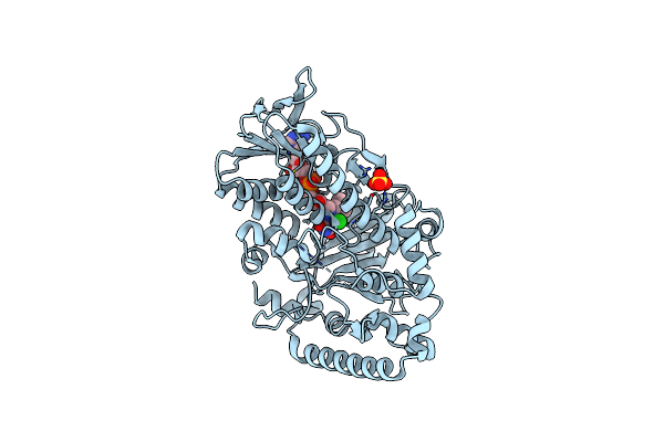 4Z43 image