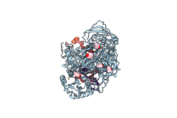 4Z4C image