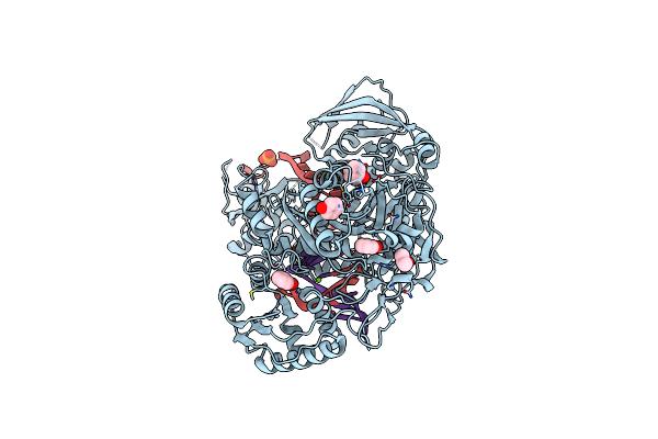 4Z4E image