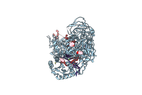 4Z4F image