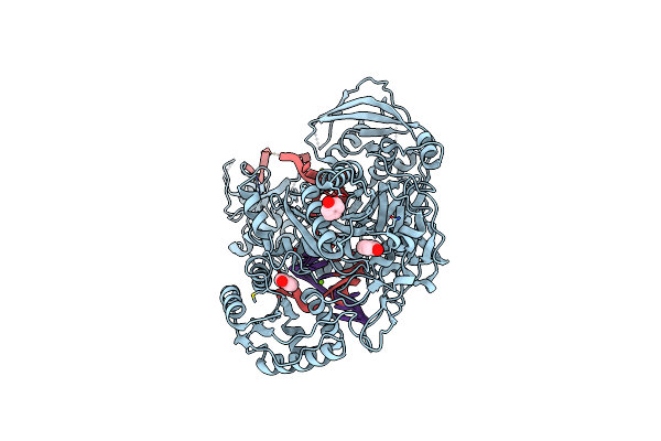 4Z4I image