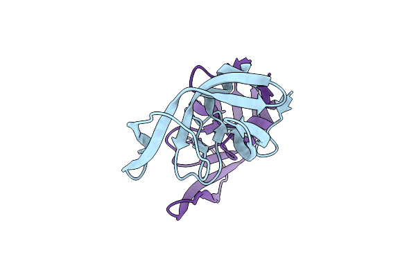 4Z4X image
