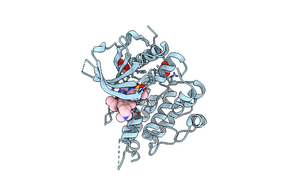 4Z55 image