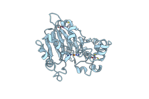 4Z5Y image