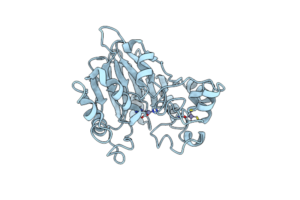 4Z60 image