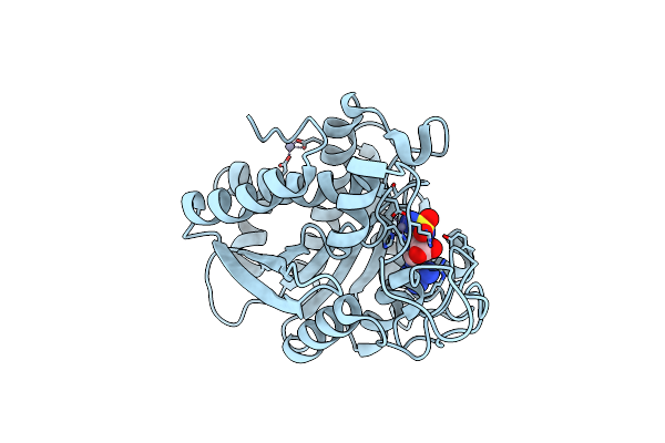 4Z65 image