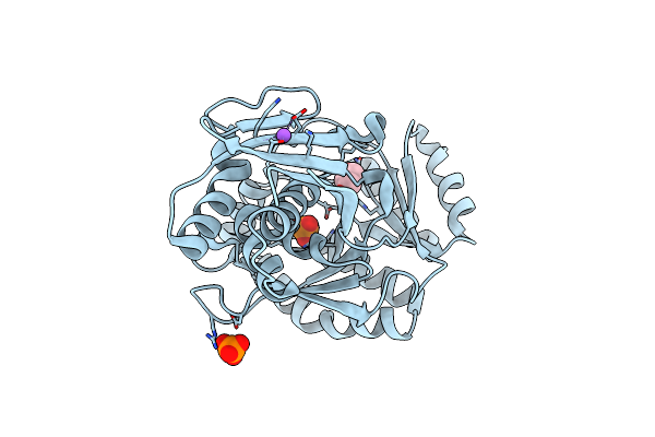 4Z7C image