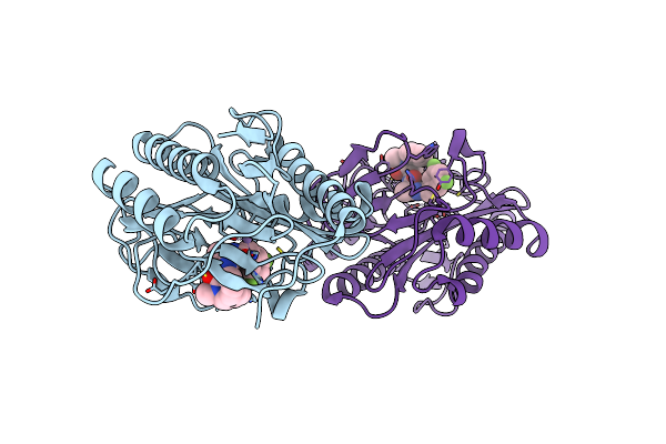 4Z7M image