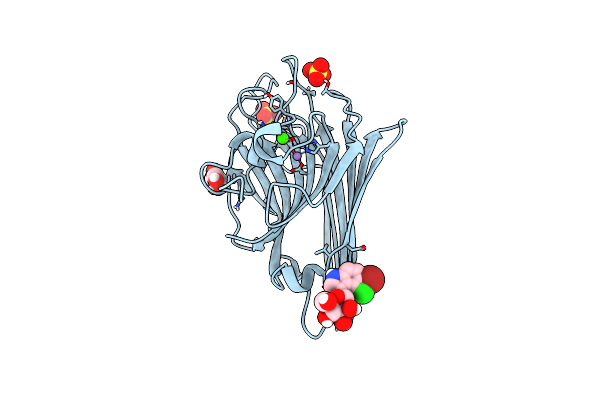 4Z8B image
