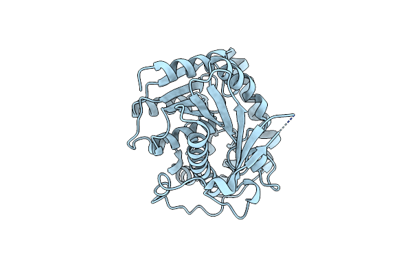 4Z8Z image