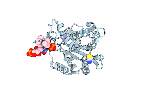 4ZAG image
