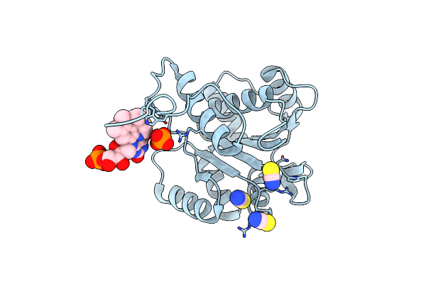 4ZAX image